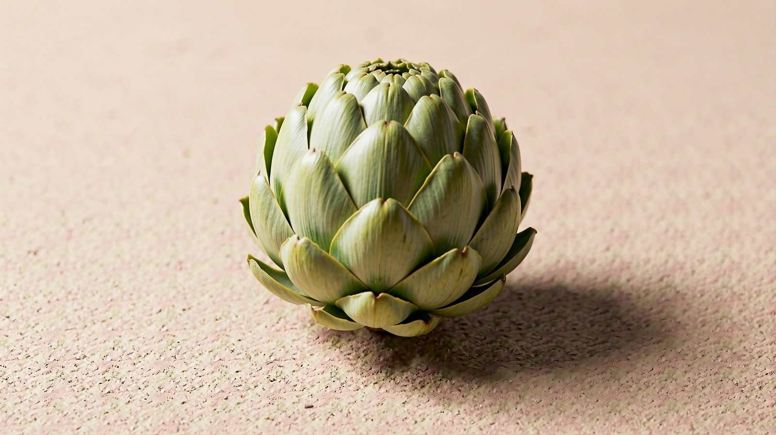 Nutrizione e benessere a Bologna